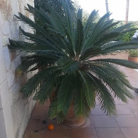 Eftichia