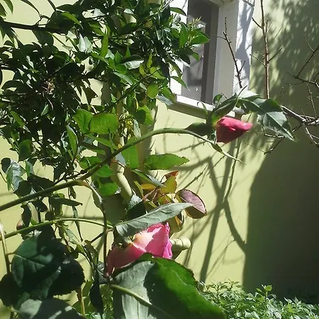 Eftichia * Stalós